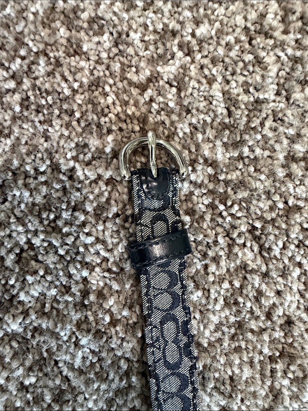 Coach Black Signature Canvas Belt with Silver Buckle